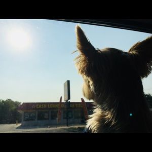 Meet your Posher, Eva